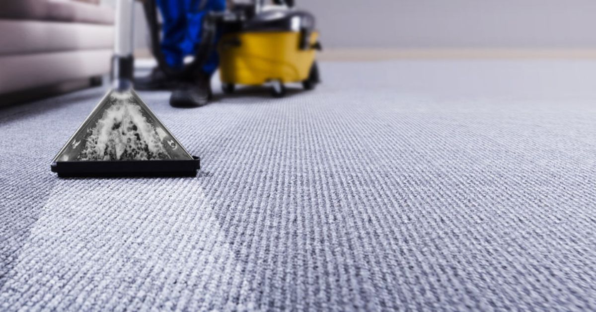 Best Dry Carpet Cleaner Powder