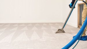 best-dry-carpet-cleaner-powder best-dry-carpet-cleaner-powder
